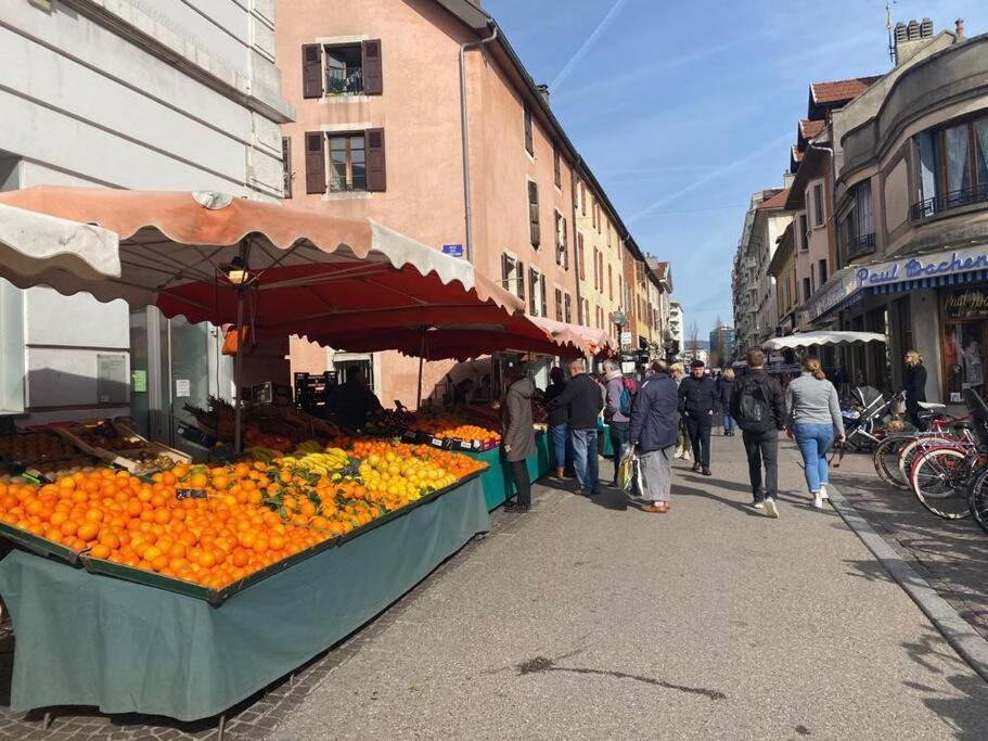 Quai Des Cordeliers, Balcon Et Vieille Ville アヌシー エクステリア 写真